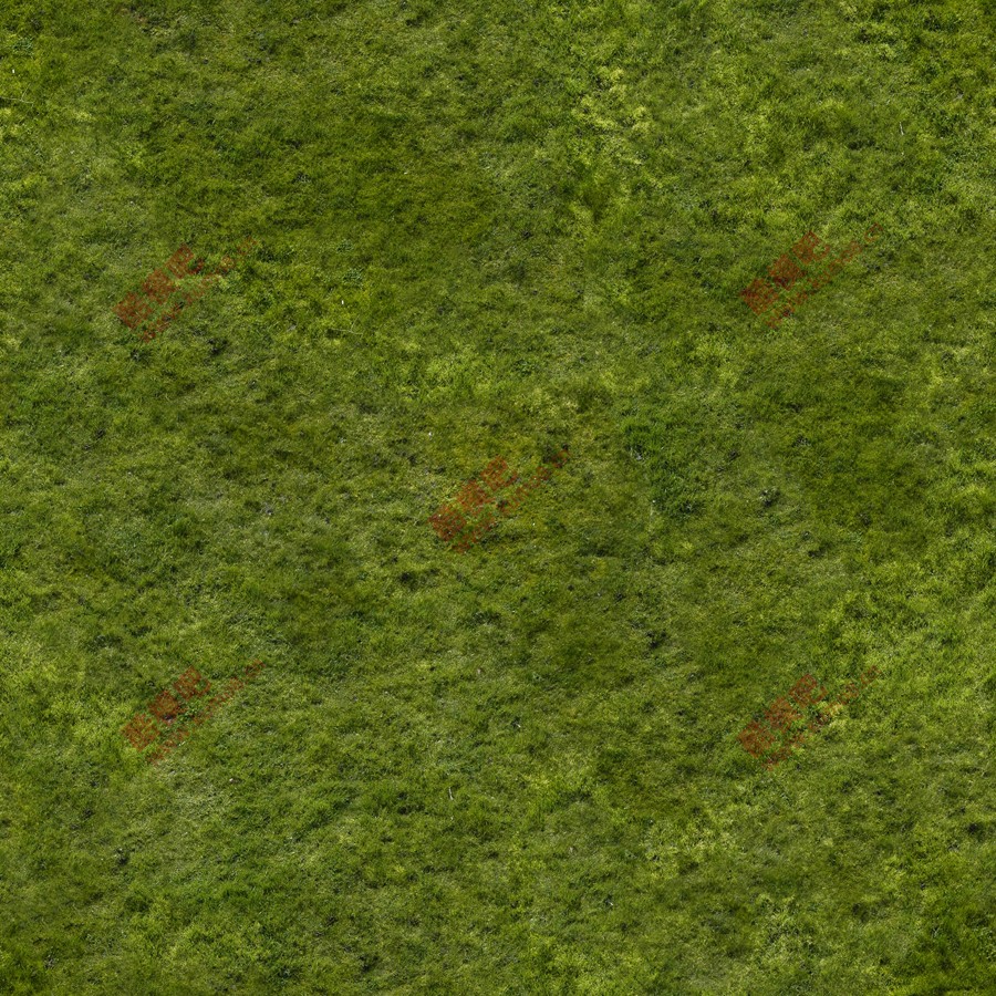 ����Ԥ�� (1).jpg