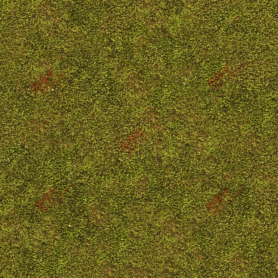 ����Ԥ�� (2).jpg