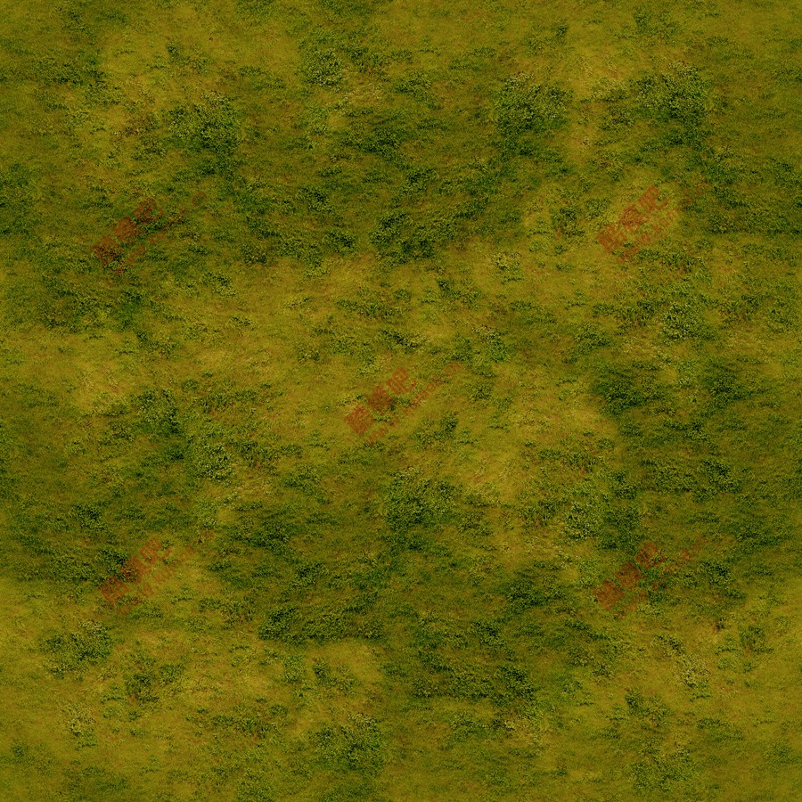 ����Ԥ�� (3).jpg