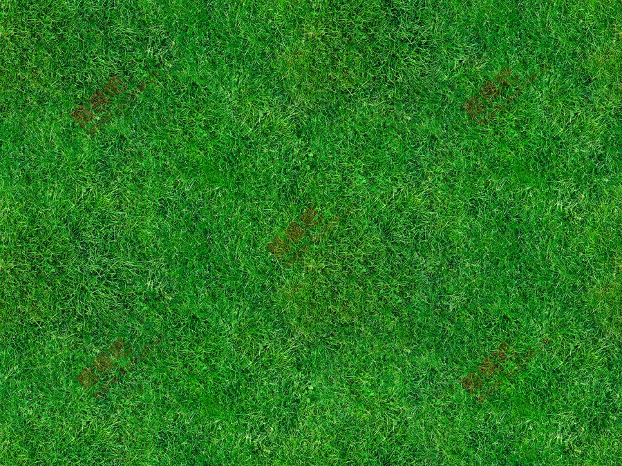 ����Ԥ�� (6).jpg