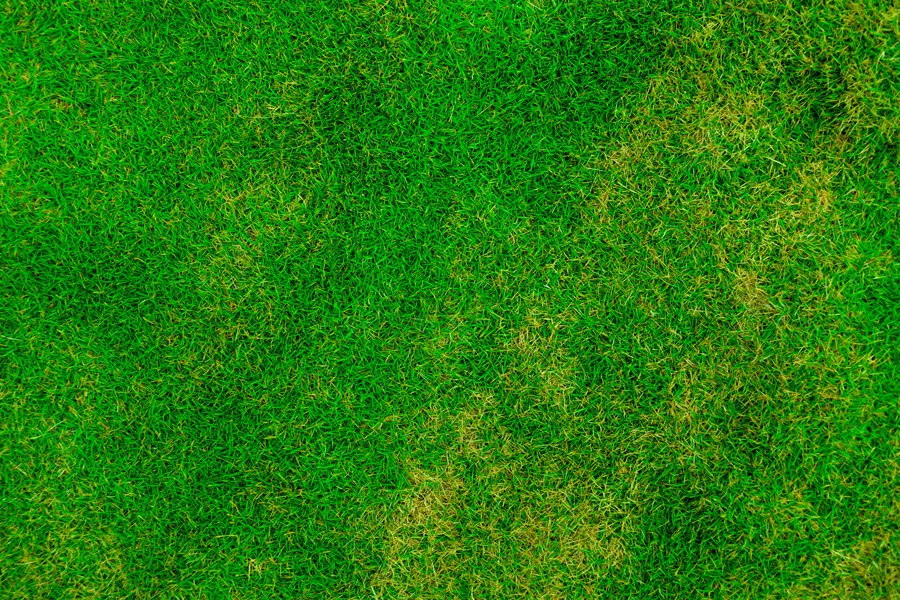 ����Ԥ�� (7).jpg