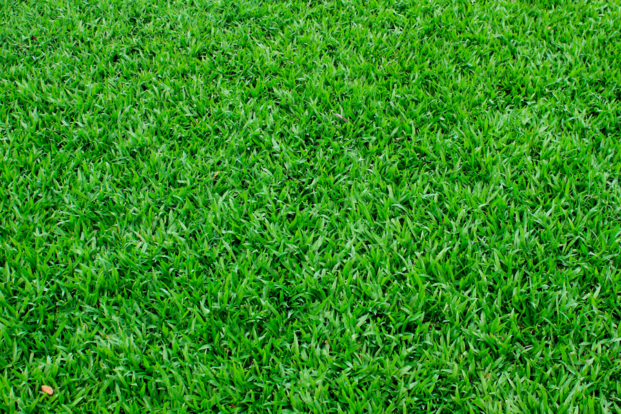 ����Ԥ�� (8).jpg