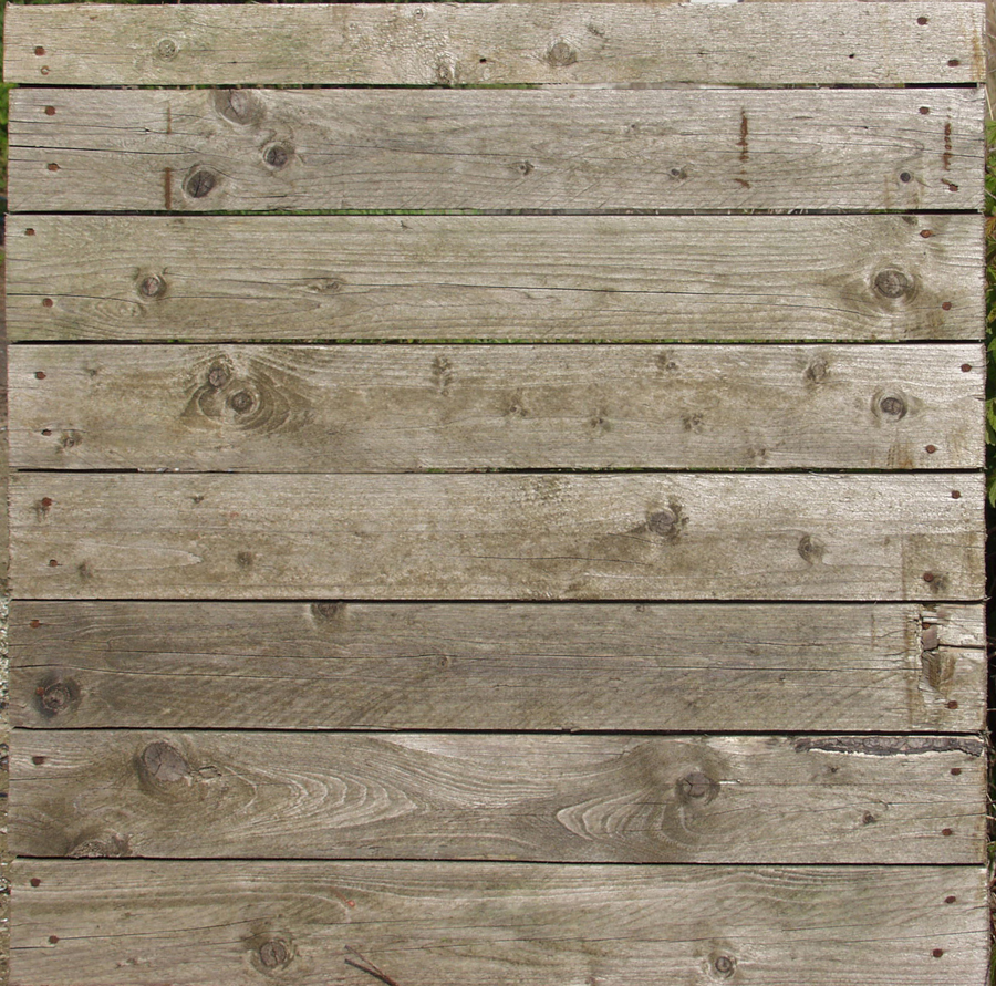 ����Ԥ�� (5).jpg