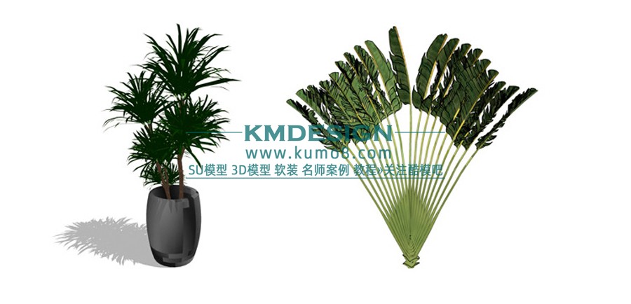 1 (18)����.jpg