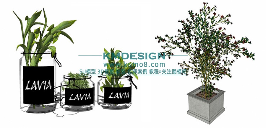 1 (29)����.jpg