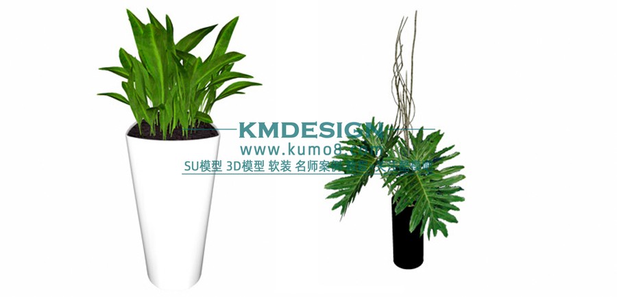 2 (8)����.jpg