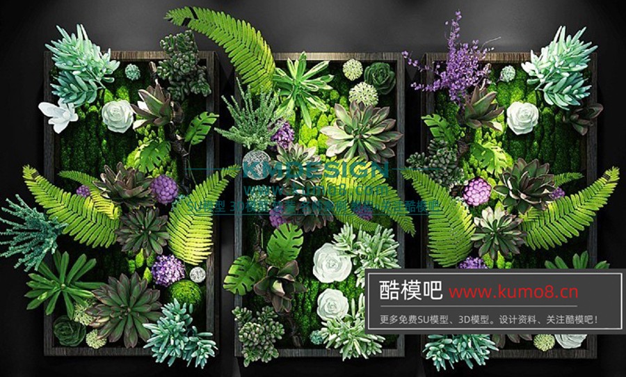 ����Ԥ�� (13).jpg