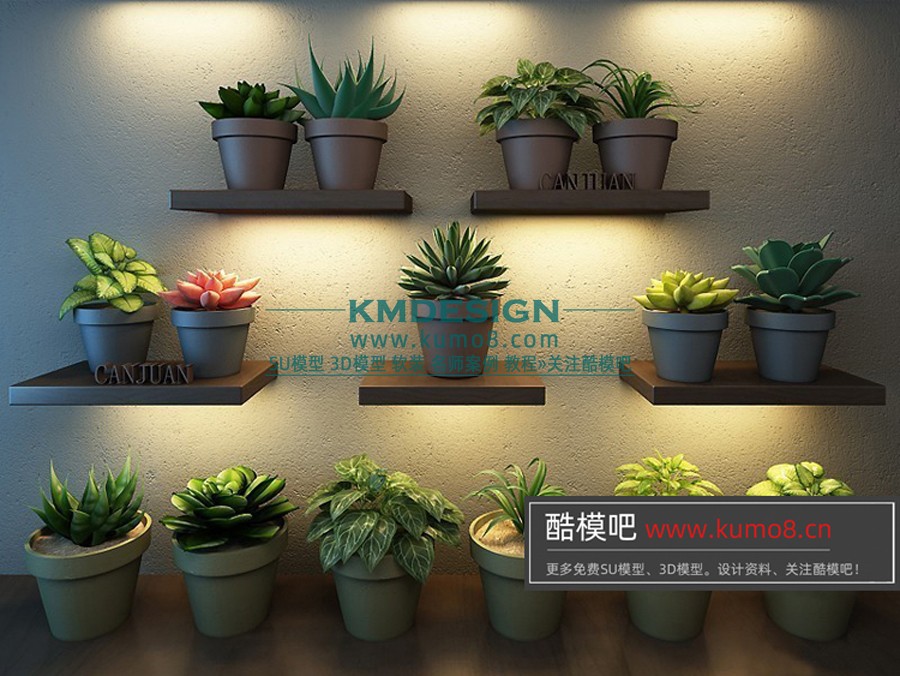 ����Ԥ�� (18).jpg