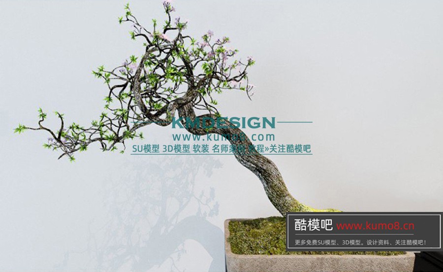 ����Ԥ�� (4).jpg