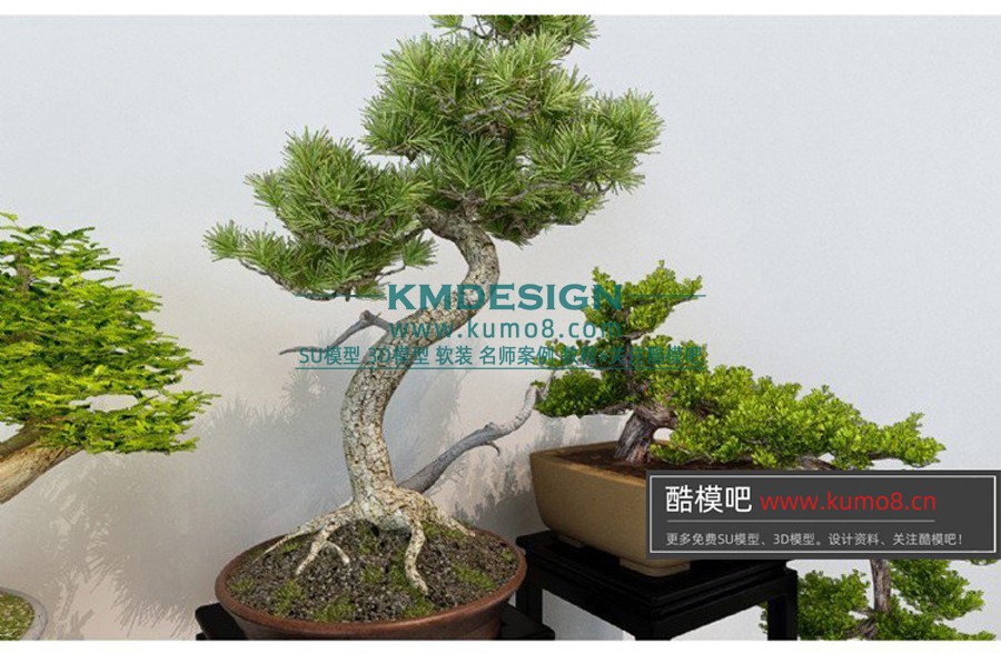 ����Ԥ�� (5).jpg