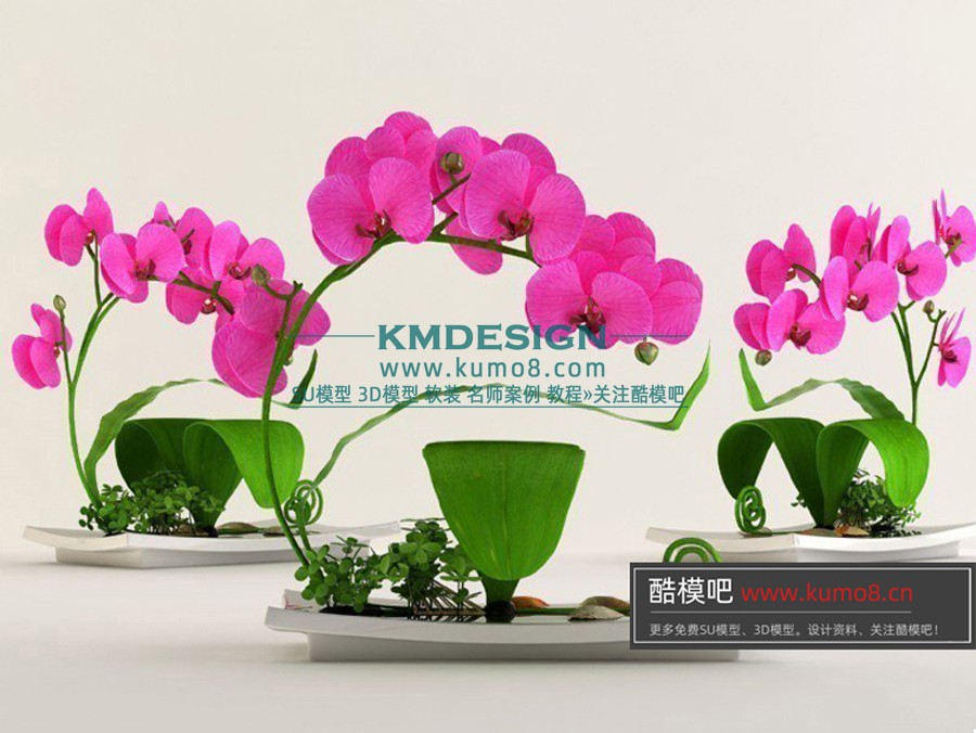 ����Ԥ�� (7).jpg