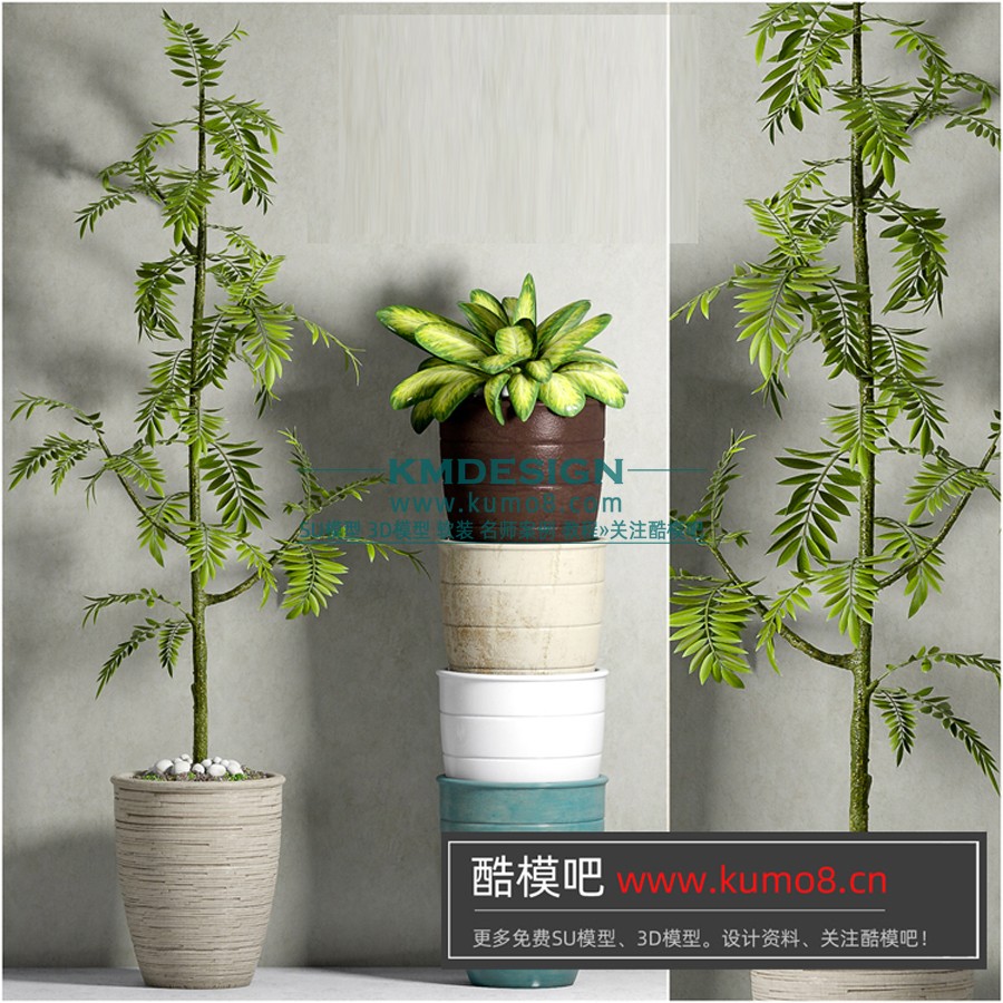 ��ģ�� (12).jpg