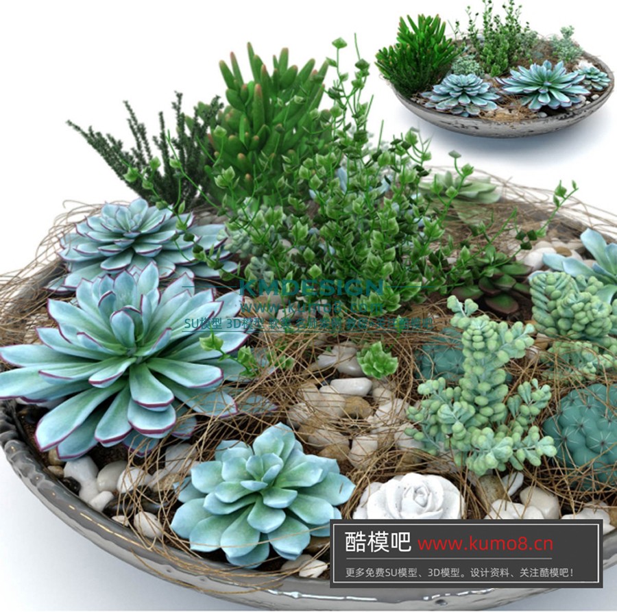 ����Ԥ�� (1).jpg