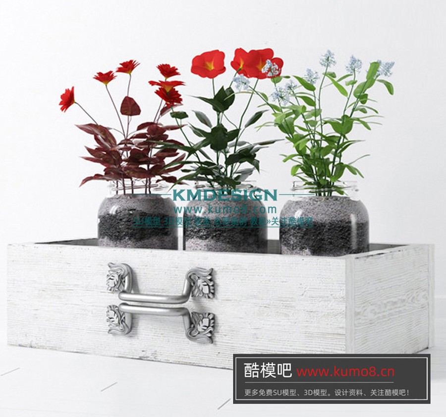 ����Ԥ�� (4).jpg