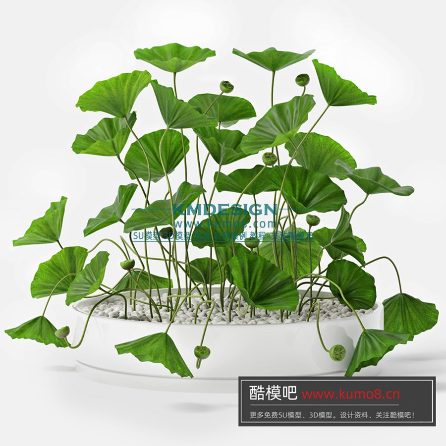 ����Ԥ�� (5).jpg