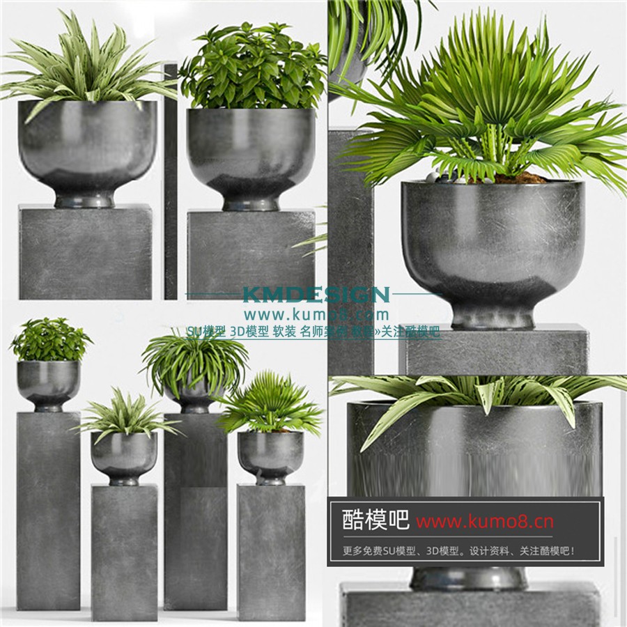 ����Ԥ�� (6).jpg