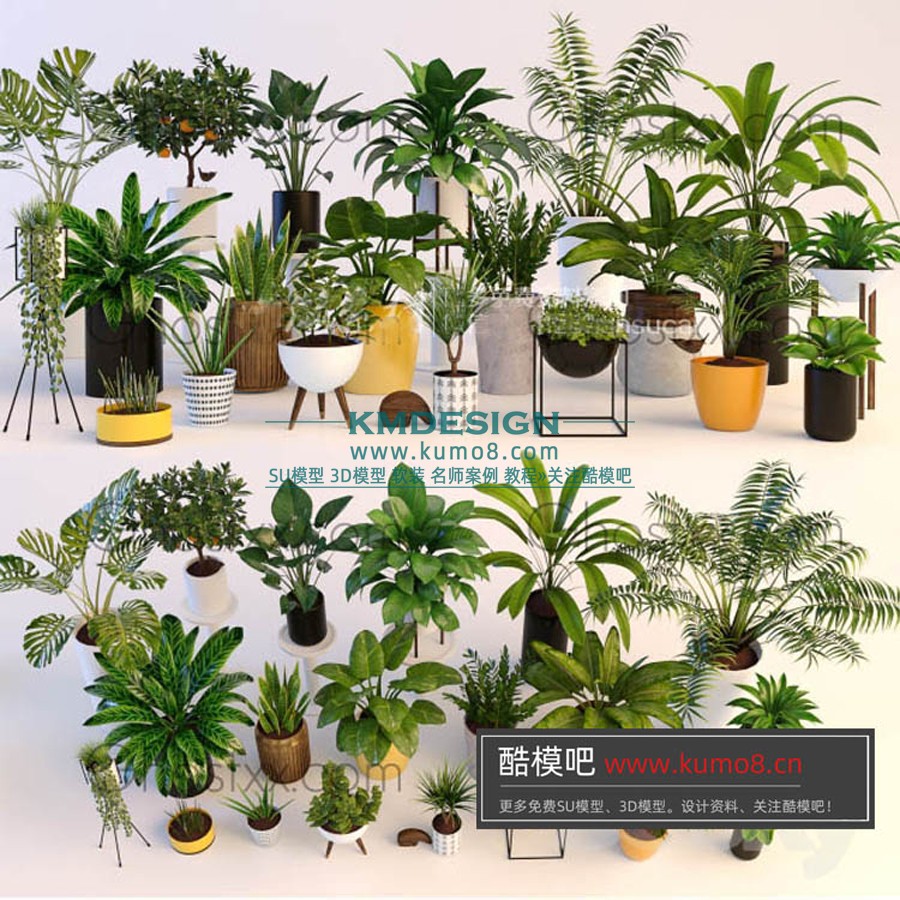 ����Ԥ�� (10).jpg