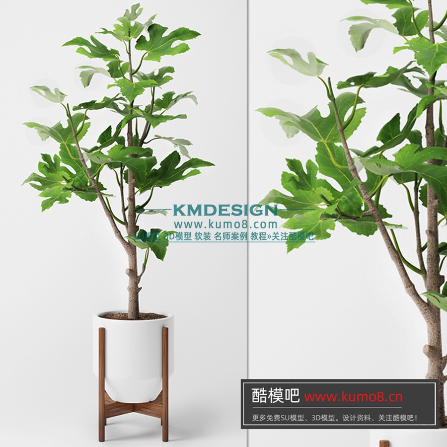 ����Ԥ�� (11).jpg