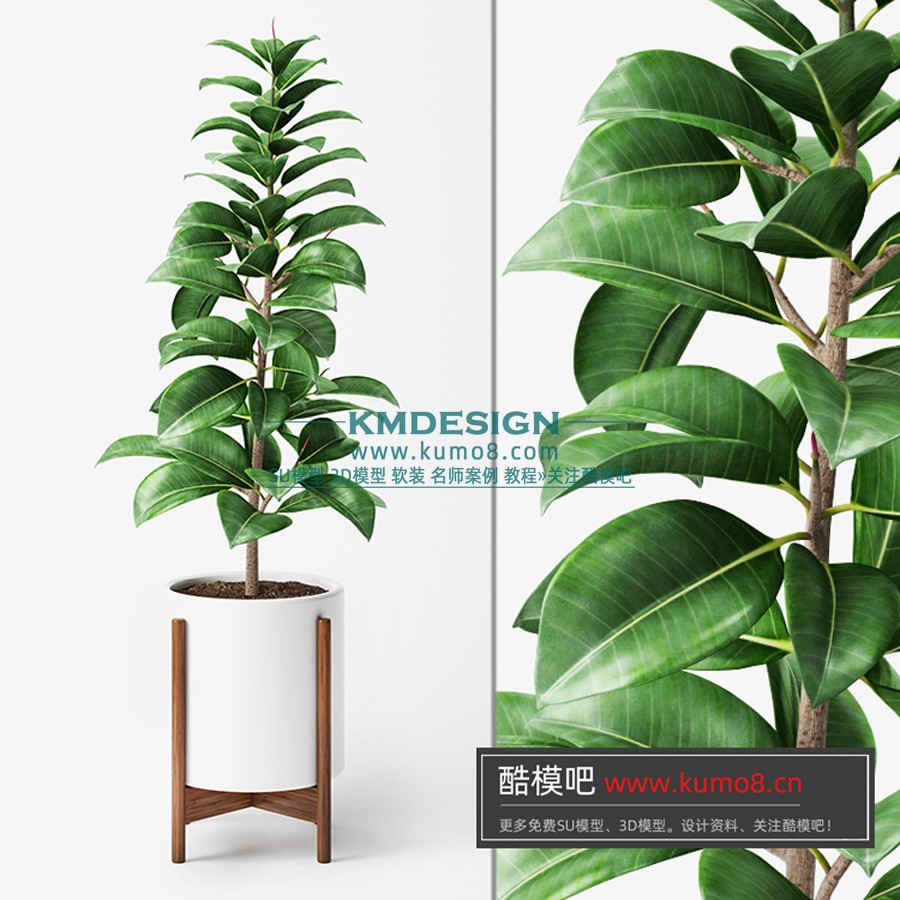 ����Ԥ�� (12).jpg