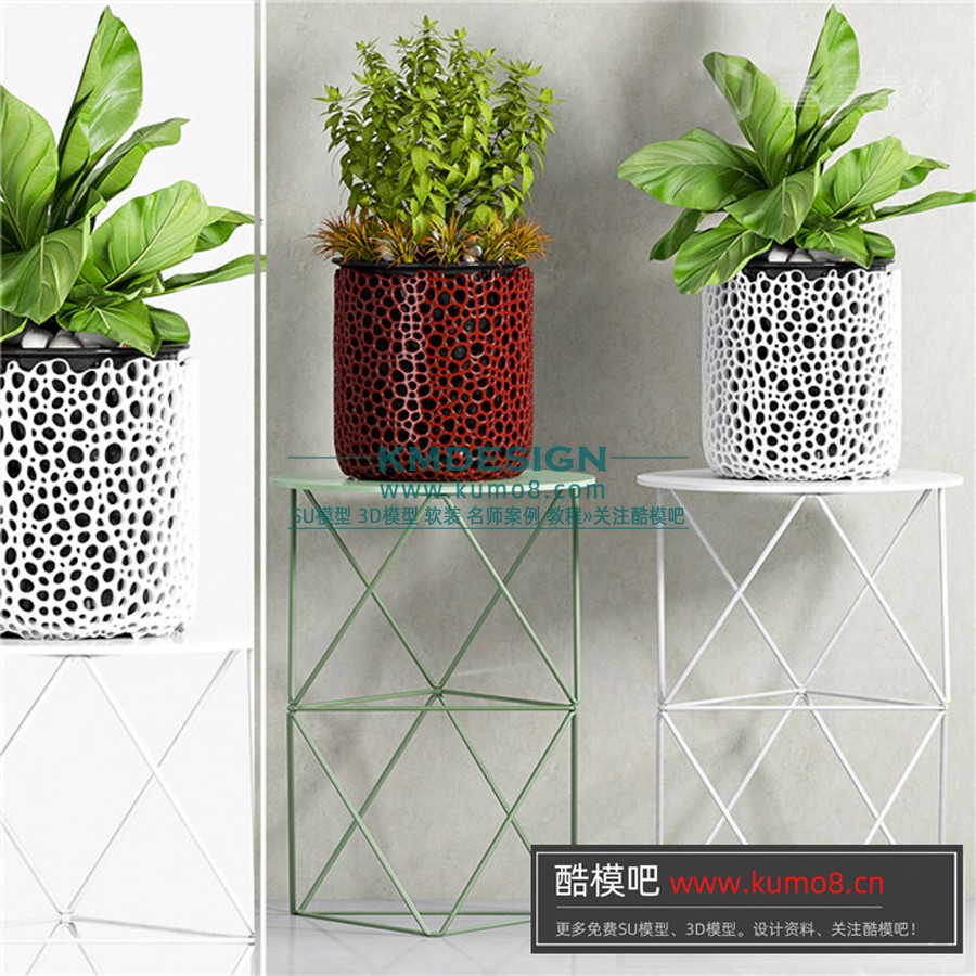 ����Ԥ�� (13).jpg