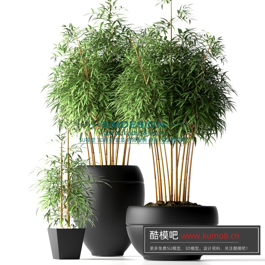 ����Ԥ�� (14).jpg