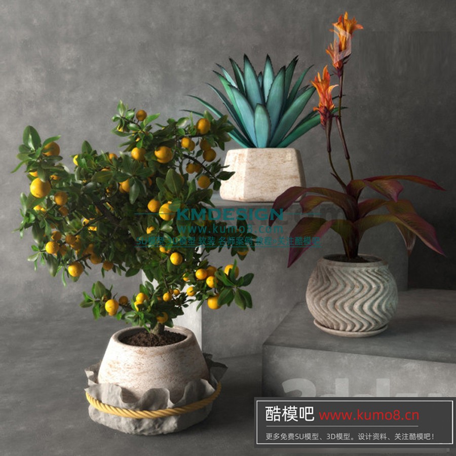 ����Ԥ�� (17).jpg