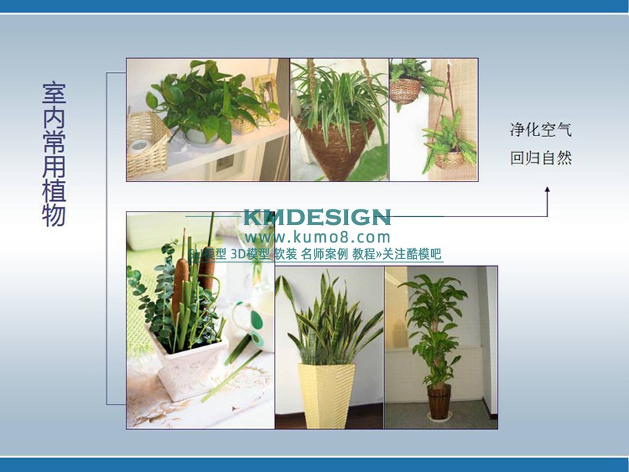 ��ģ�� (15).jpg