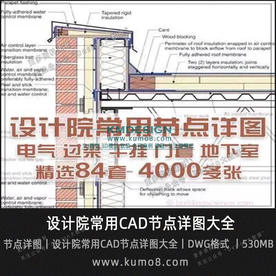 B (1)����.jpg