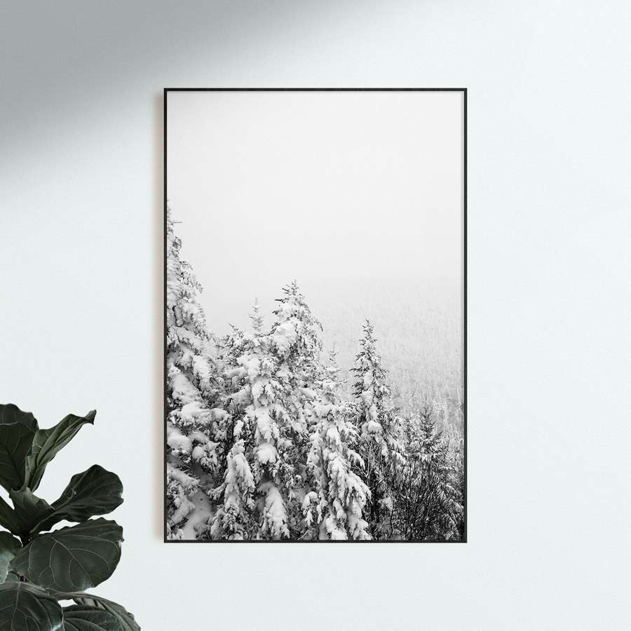 ��ģ��www.kumo8.com (4).jpg