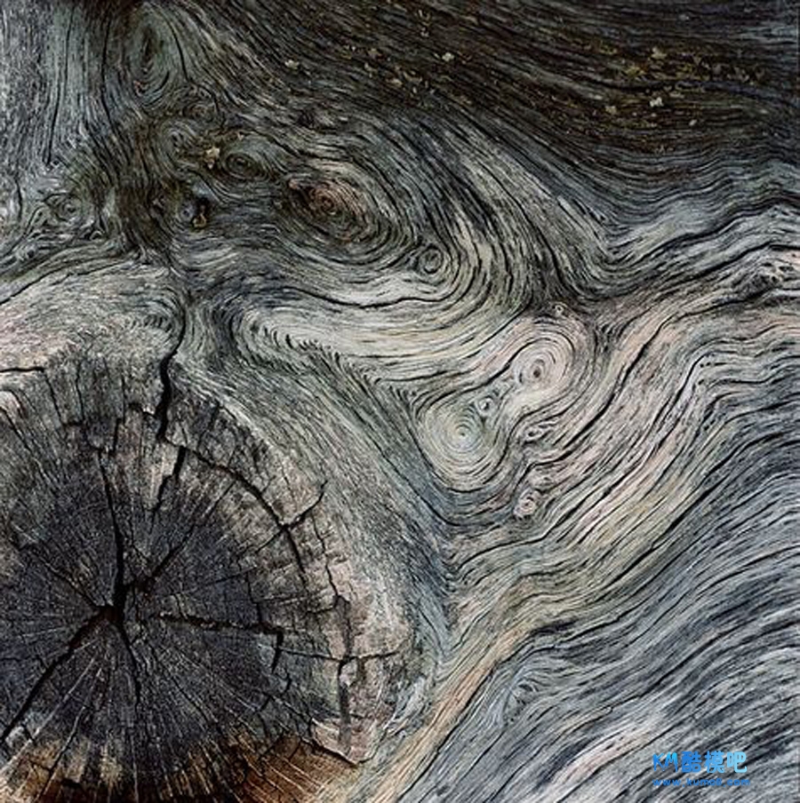 ���ںţ�Design������ (45).jpg