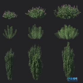 植物Maxtree – Plants Models